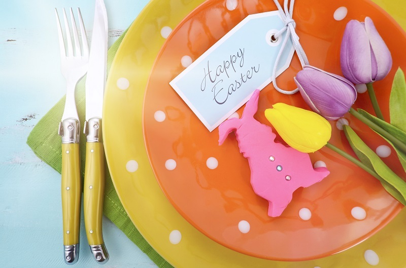 Tulips flowers  / prized flowers